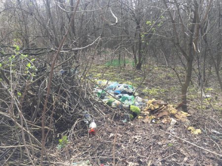 Ужгородці перетворили тильний бік Боздоського парку у суцільне сміттєзвалище (фото)