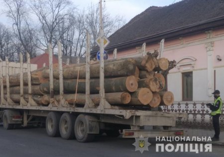 Вантажівки повні деревини затримали на Березнянщині (фото)