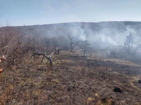 Через самопали сухостою горять житлові будинки закарпатців (ФОТО)