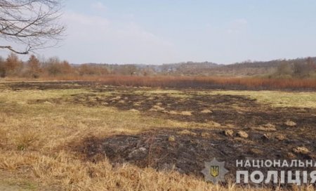 Правоохоронні органи знайшли винуватця у підпалі Долини нарцисів