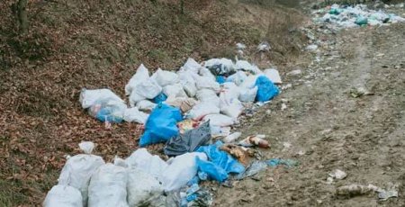На Закарпатті активісти спіймали "крутелика", який вивіз причеп сміття в поле (відео)
