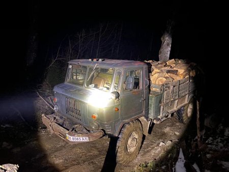 Працівники служби державної охорони Карпатського біосферного заповідника викрили «чорних лісорубів»