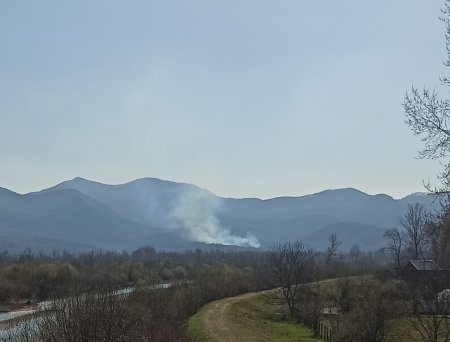 На Хустщині горить ліс (фото)