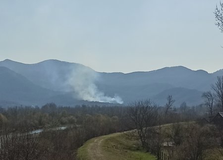 На Хустщині горить ліс (фото)