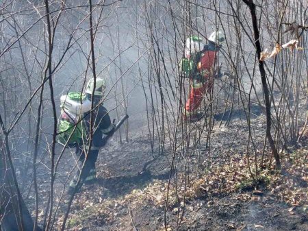 За день закарпатські рятувальники ліквідували півсотні пожеж в екосистемах
