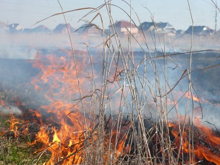 Половина з усіх пожеж, що виникли на Закарпатті – це пожежі сухотрав’я