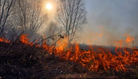 Управління ДСНС України у Закарпатській області інформує