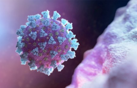 Вчені повідомили, коли очікувати на другу хвилю коронавірусу