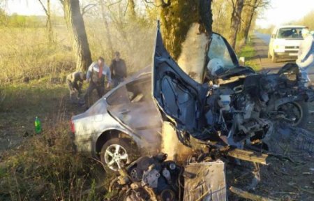 Смертельна  аварія трапилась на Іршавщині: авто врізалось в дерево (ФОТО)