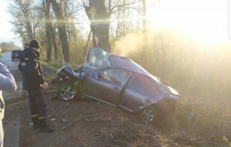 Смертельна  аварія трапилась на Іршавщині: авто врізалось в дерево (ФОТО)