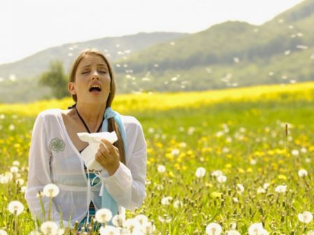 На Закарпатті майже кожен третій  страждає на сезонну алергію