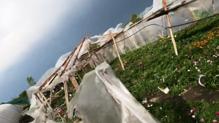 Штормовий вітер на Закарпатті наробив чимало біди (відео)