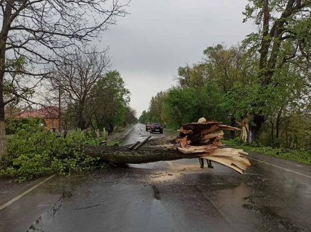 Рятувальники та інші служби життєзабезпечення ліквідовують наслідки негоди на Закарпатті (Фото)