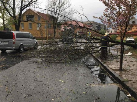 Рятувальники та інші служби життєзабезпечення ліквідовують наслідки негоди на Закарпатті (Фото)