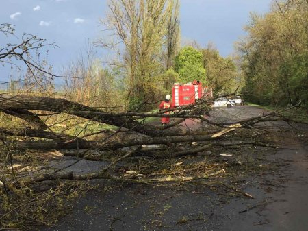 Рятувальники та інші служби життєзабезпечення ліквідовують наслідки негоди на Закарпатті (Фото)