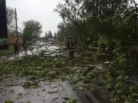 Рятувальники та інші служби життєзабезпечення ліквідовують наслідки негоди на Закарпатті (Фото)