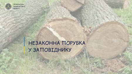 На Рахівщині чоловік незаконно порубав дерева у заповіднику: прокуратура затвердила обвинувачення