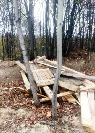 Кому заважала колиба для відпочинку в лісі? - фотофакт Кому заважала колиба для відпочинку в лісі? - фотофакт