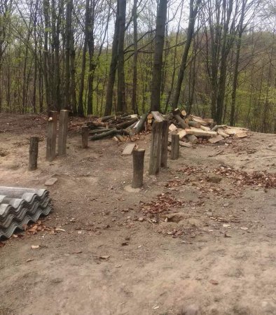 Кому заважала колиба для відпочинку в лісі? - фотофакт Кому заважала колиба для відпочинку в лісі? - фотофакт