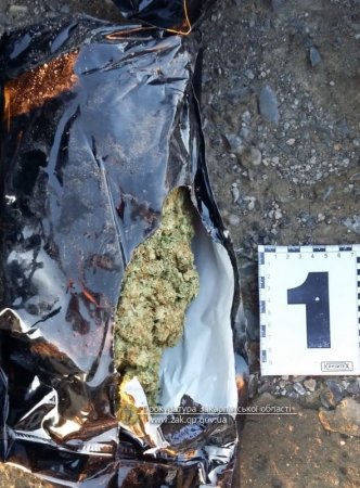 Прокурором доведено вину іноземця, який контрабандою спробував вивезти до ЄС більше 2 кг марихуани (ФОТО)