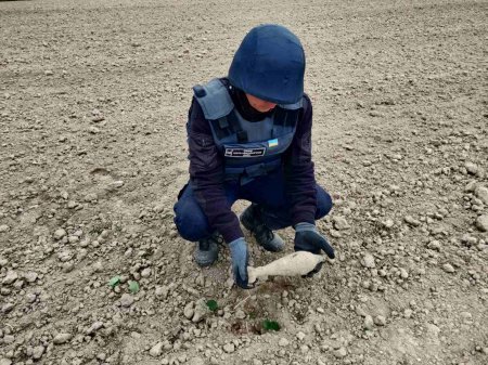 Піротехніки ДСНС знищують вибухонебезпечні знахідки