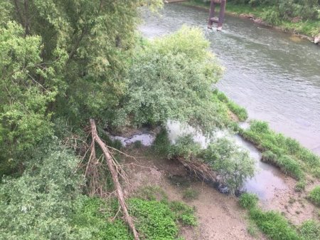 В Ужгороді в річку регулярно скидають нечистоти. Екологічна інспекція не діє (фото)