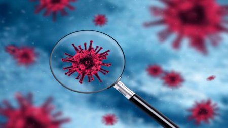 Знову стрибок: оновлені дані щодо коронавірусу в Україні