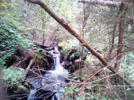 Зарибнення: на Рахівщині у гірські річки випустили мальків форелі (ФОТО)