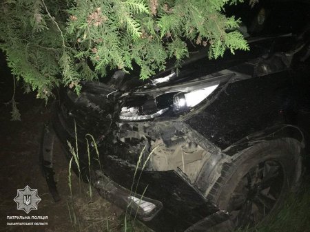 Мукачівець так втікав від патрульних, що зніс автівкою дорожній знак (Фото)