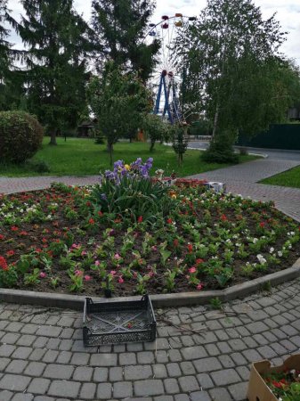 У парку Центральний в Мукачеві облаштували квіткові клумби (фото)