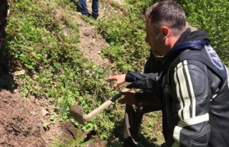 Байкери із усієї України зібралися задля відновлення карпатських лісів