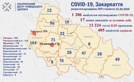 На Закарпатті за добу зареєстровано 17 нових випадків COVID-19 (КАРТА)