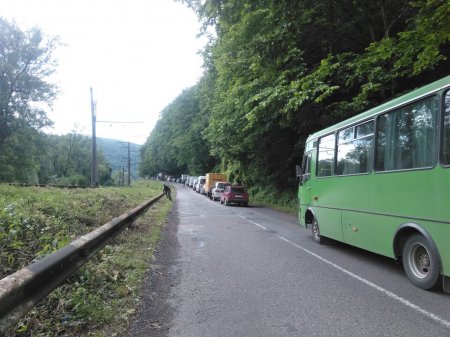 На Ужгородщині перекривають автотрасу – валять ліс (фото)