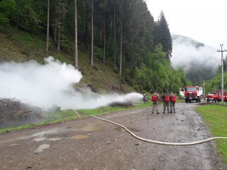 Міжгірські рятувальники й лісники провели спільні навчання з ліквідації пожежі в лісі