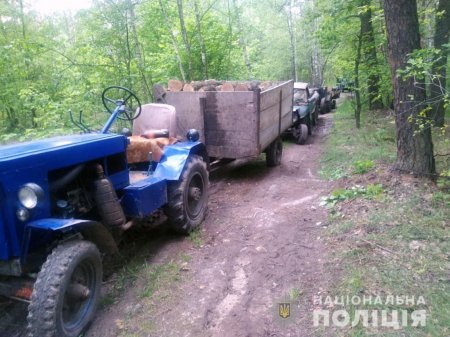 На Борзнянщині поліція затримала три трактори з незаконним лісом 