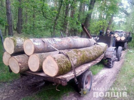 На Борзнянщині поліція затримала три трактори з незаконним лісом 