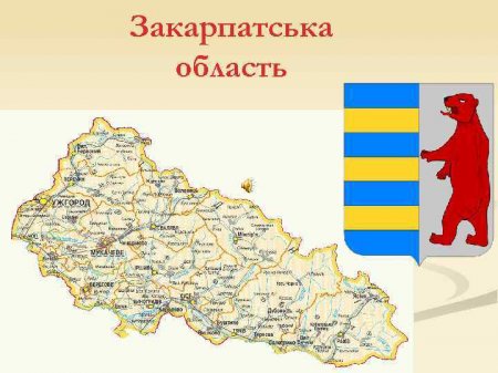 5 чи 6-ть адміністративно-територіальних районів створено на Закарпатті - Олексій Петров (відео)