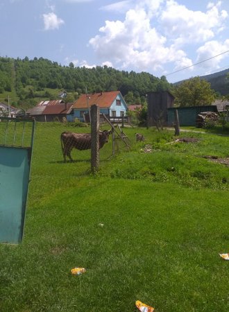 На Рахівщині у селі Богдан люди самотужки знищують свій стадіон (Відео, Фото)