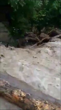 Замість вулиць – гірські потоки води: на Закарпатті вода і далі руйнує села (відео)