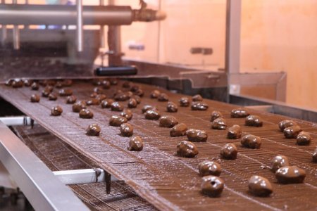 Шоколадний бізнес відомий далеко за межами України заснувала закарпатська підприємиця (фото)
