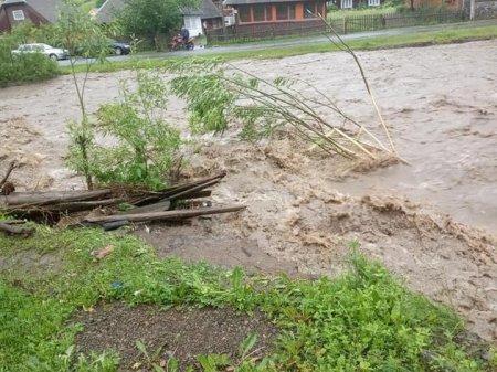 Через сильні дощові зливи на Закарпатті знищено чимало врожаю