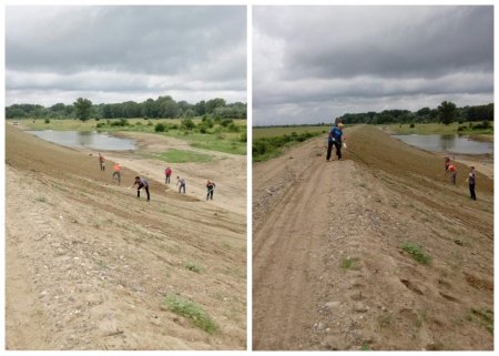 На Затисянщині продовжуються роботи з реконструкції дамби р. Тиса (ФОТО)