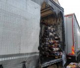 В Ужгороді загорілася фура (Фото)