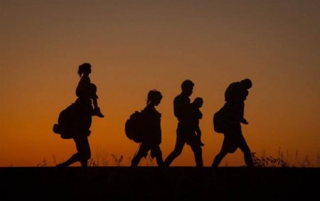 Закарпатські поліцейські викрили одесита, який організував канал нелегальної міграції