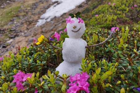 На Піп Івані снігуронька посеред літа милується квітами Червоної рути