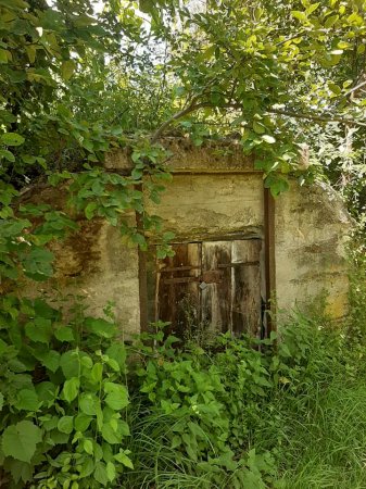 На Ужгородщині показали старі винні підвали у скелі (ФОТО)