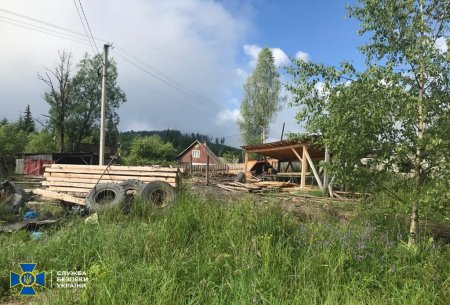СБУ викрила нелегальні вирубки цінної деревини у двох держлісгоспах Закарпаття на близько 10 мільйонів гривень