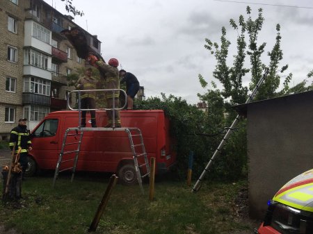 Нічна негода, яка пронеслася Закарпаттям вночі, наробила чимало біди 