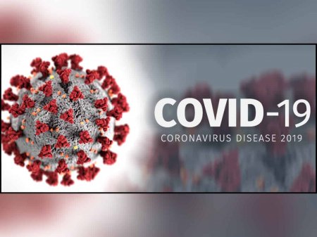 За минулу добу на COVID-19 захворіло 79 закарпатців 7 одужало та ніхто не помер 