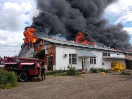 У Хусті горить підприємство: на місці працює 6 одиниць техніки (фото)